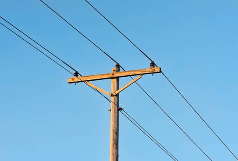 Cable stock surges 10% after securing ₹51.06 Cr order from MSEDCL, boosting market confidence.

