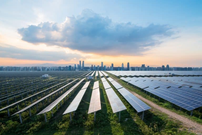 Solarium Green Energy: Stock in focus after it bags ₹8.22 Cr order from NTPC