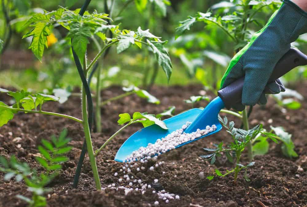 Fertilizer stock saw 70% YoY profit decline, 23% revenue drop, and 21% lower expenses.