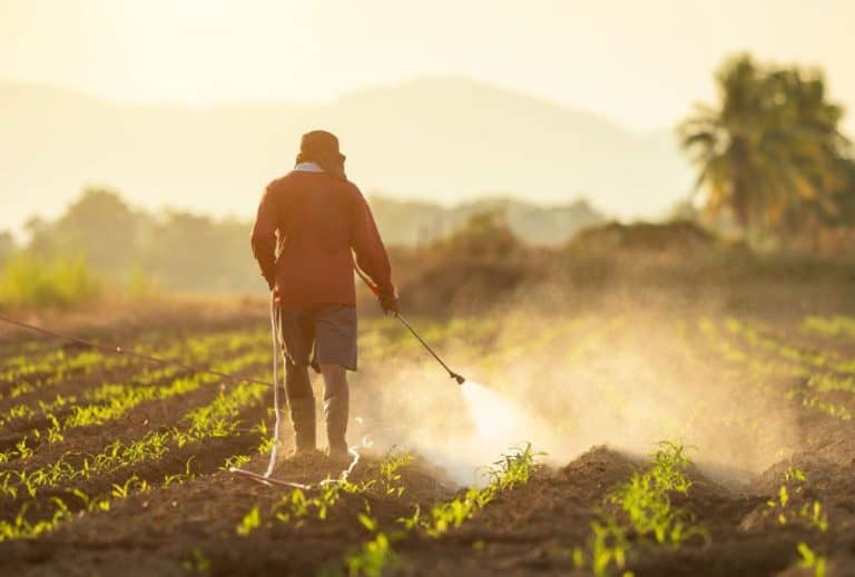 Agro stock jumps 16% after its net profit increases by 103.5% YoY