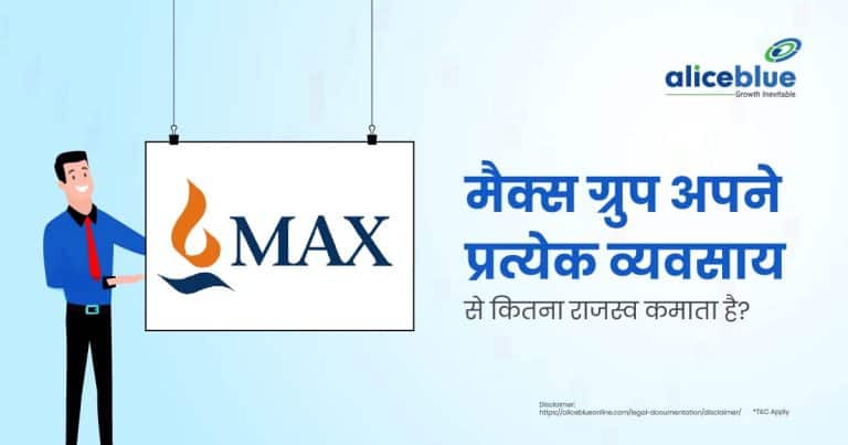 How Much Revenue Does Max Group Make from Each of Its Businesses
