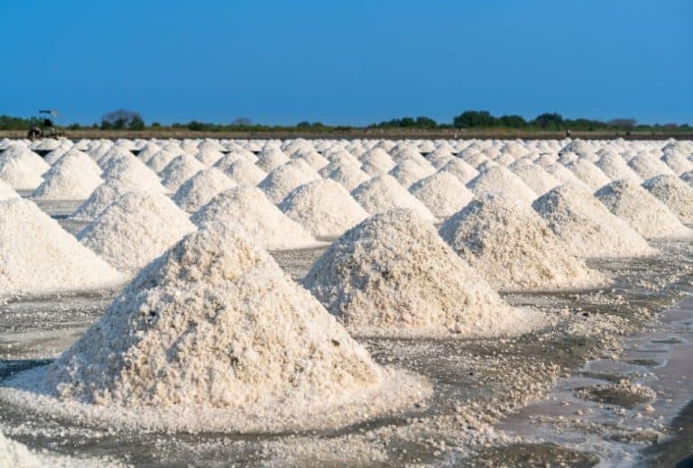 FMCG stock surges 4% after launching a new salt refinery plant in Gujarat, boosting growth.

