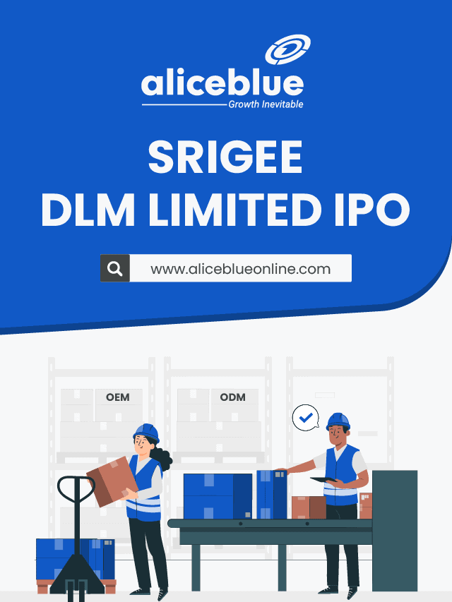 Webstory Srigee DLM Limited IPO