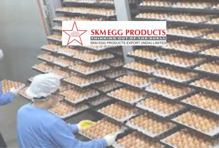 SKM Egg Products rises 5% after company reports no bird flu impact on Tamil Nadu operations