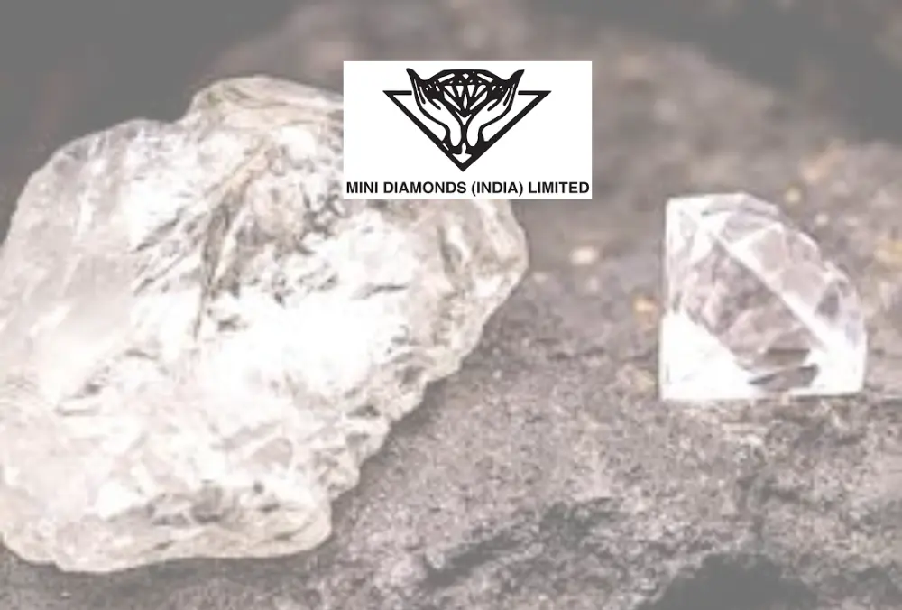 Mini Diamonds logo over rough and cut diamond on stone