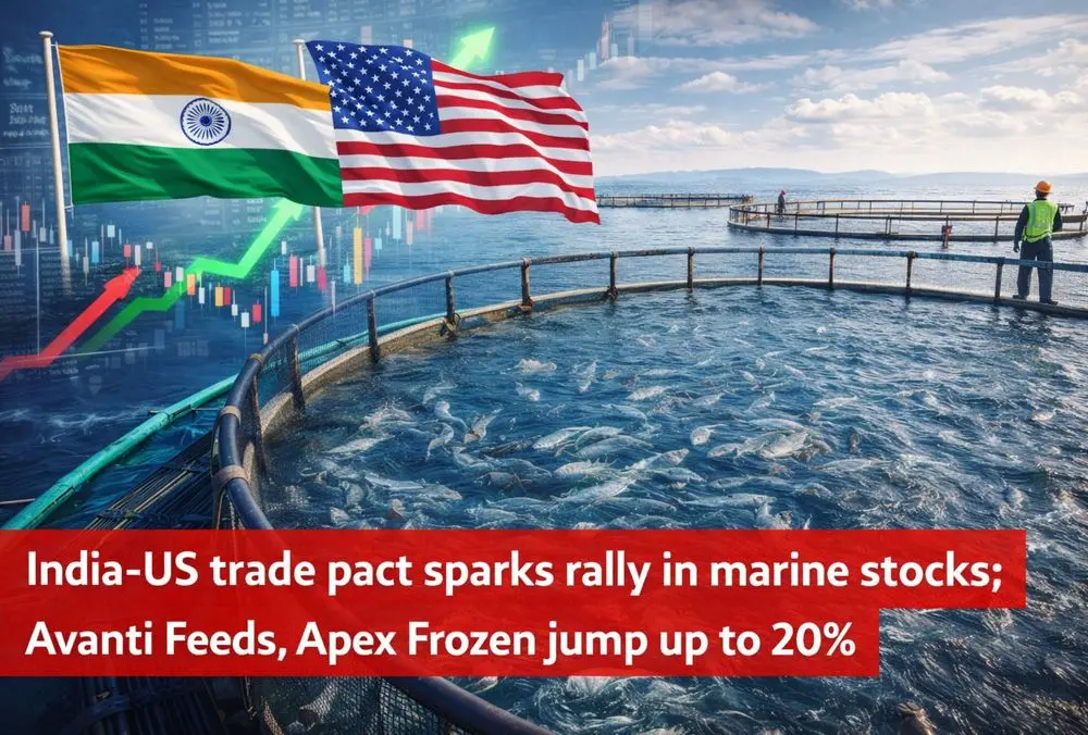 India US trade pact boosts marine stocks and seafood exports
