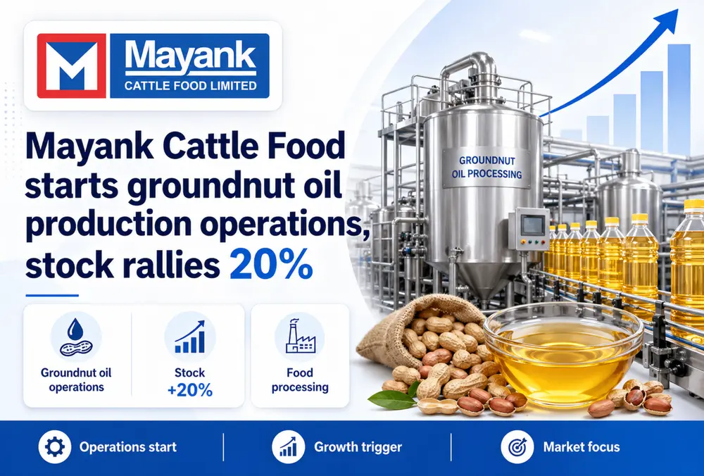 Mayank Cattle Food stock rallies 20%