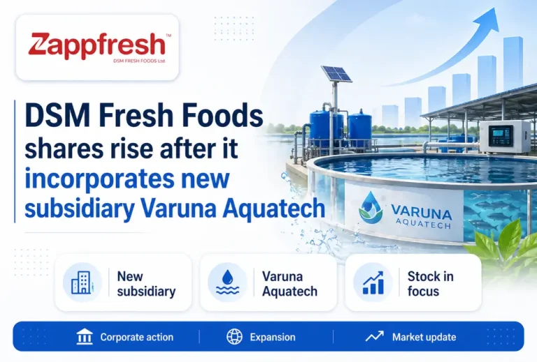 DSM Fresh Foods shares rise after it incorporates new subsidiary Varuna Aquatech