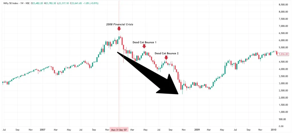 Dead cat bounce